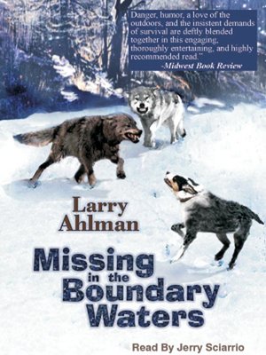 cover image of Missing in the Boundary Waters